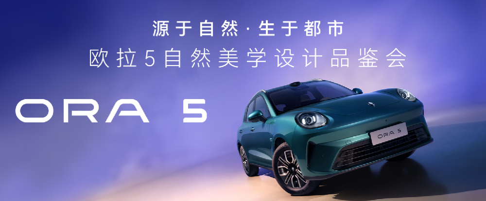 二十九號(hào)店-哈弗新能源、歐拉